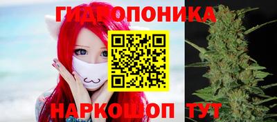 PSILOCYBIN Гусев