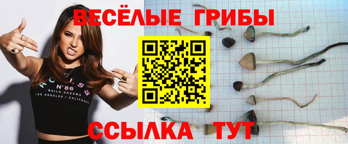 ГАШ  Можга  Канабис  A-PVP СОЛЬ кристаллы  Меф кристаллы  Вейп ТГК  Вход с VPN  АМФ кристаллы 