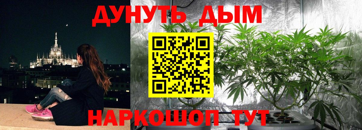 МАРИХУАНА Ganja Можга